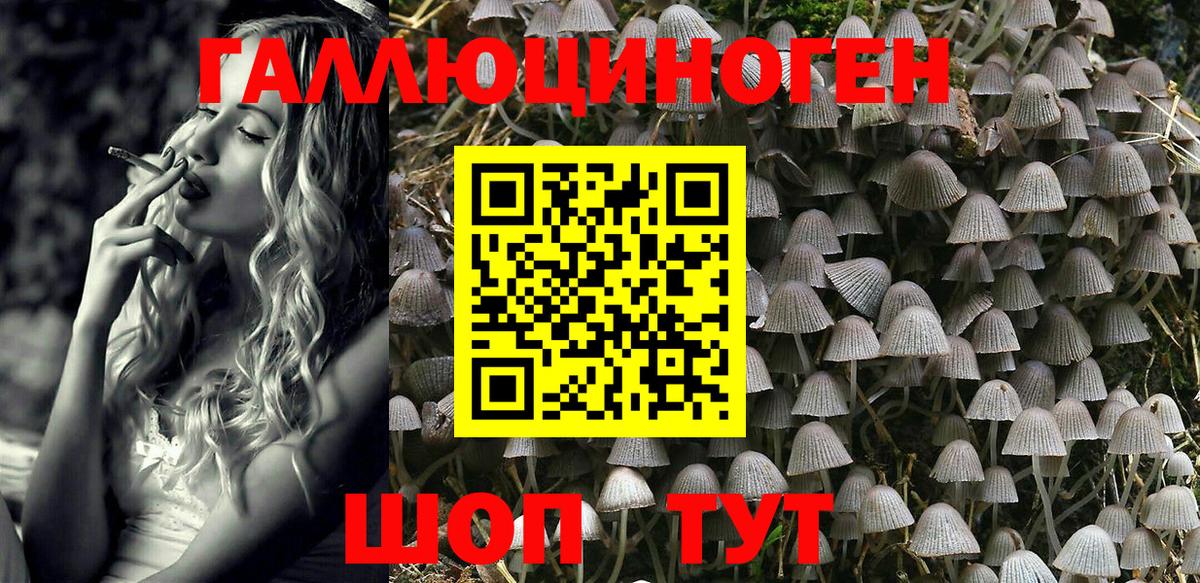 Псилоцибиновые грибы GOLDEN TEACHER  Вход с VPN  Благовещенск 